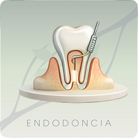 CLÍNICA DENTAL INÉS IRANZO-ENDODONCIA